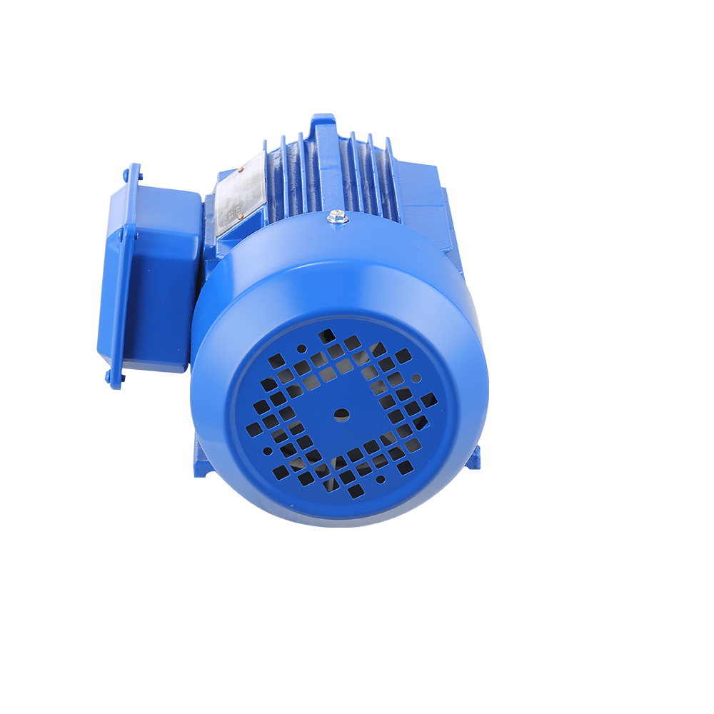 YE3 Series 0.55KW Three Phase Asynchronous Ac Induction Electric Motor