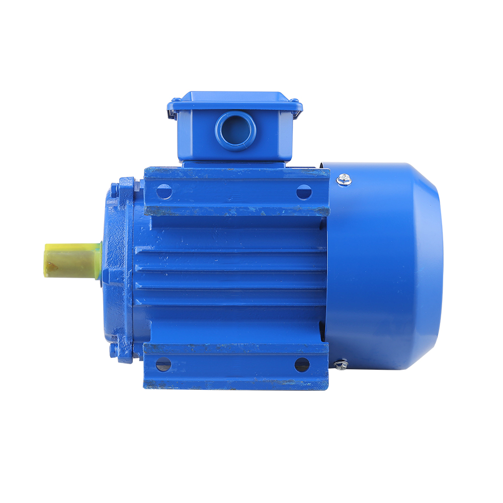 YE3 Series 0.55KW Three Phase Asynchronous Ac Induction Electric Motor