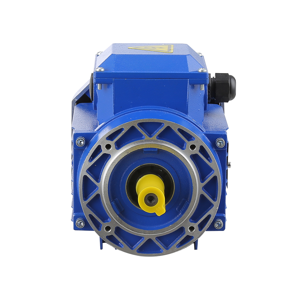 MS/YS Series Copper Wire 100% Aluminum Housing Three Phase Induction Electric Motor 110v 220v 0.18kw 0.25kw 0.37kw Ac Motors
