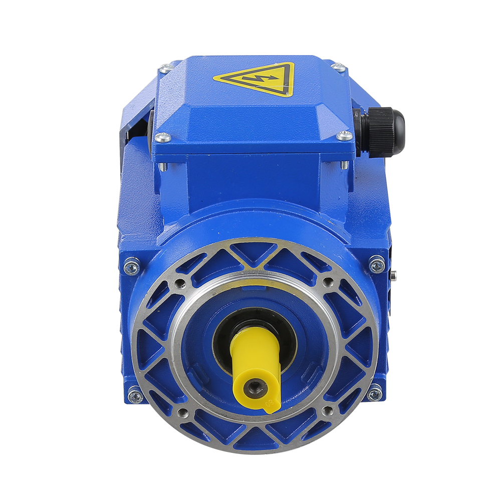 Ms Series Electric Motor Three-Phase Asynchronous Motor Squirrel Cage Motor