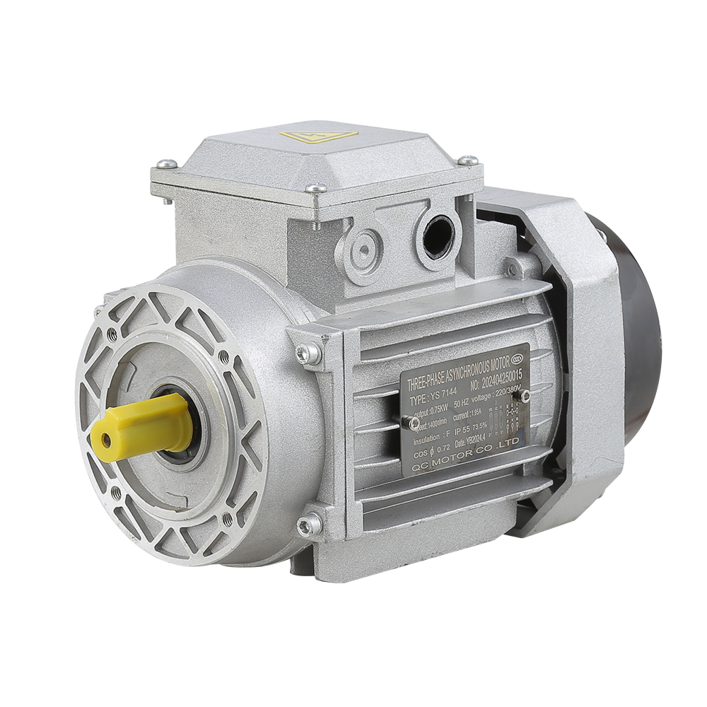 Ms Series Electric Motor Three-Phase Asynchronous Motor Squirrel Cage Motor